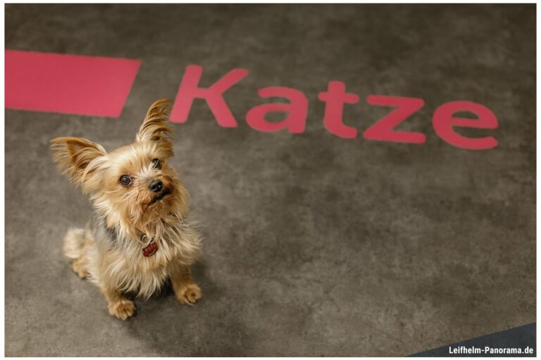 ZooRoyal - Norderstedt - Katze oder Hund?